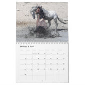 Wilde Pferde im Sandwaschbecken Kalender (Feb 2027)