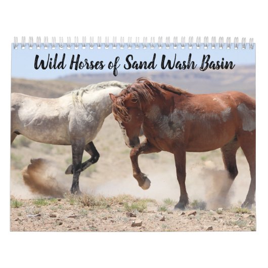 Wilde Pferde im Sandwaschbecken Kalender (Titelbild)
