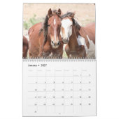 Wilde Pferde im Sandwaschbecken Kalender (Jan 2027)