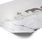 Wilde Pferde im Schnee Kodak Berufliches Foto (Ecke)