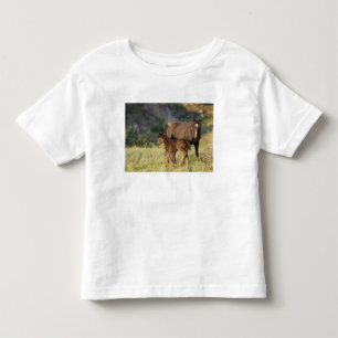Wilde Pferde im Theodore-Roosevelt-Nationalpark Kleinkind T-shirt