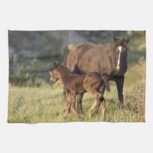 Wilde Pferde im Theodore-Roosevelt-Nationalpark Küchentuch