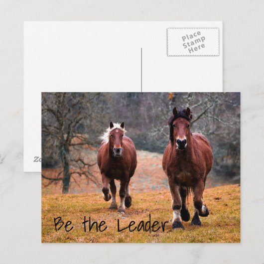 Wilde Pferde im Wald Postkarte (Vorne/Hinten)