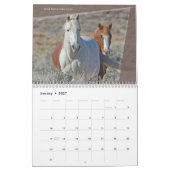 Wilde Pferde im Westen Kalender (Jan 2027)