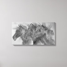 Wilde Pferde im Wind