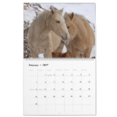 Wilde Pferde in Arizona Kalender (Feb 2027)