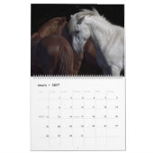 Wilde Pferde in Arizona Kalender (Mär 2027)