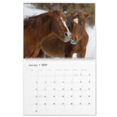 Wilde Pferde in Arizona Kalender (Jan 2027)