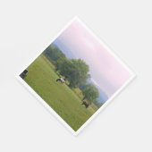 Wilde Pferde in der Höhlenbucht Serviette (Ecke)