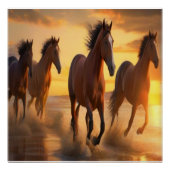 Wilde Pferde in Sunset Splendor Poster (Vorderseite)