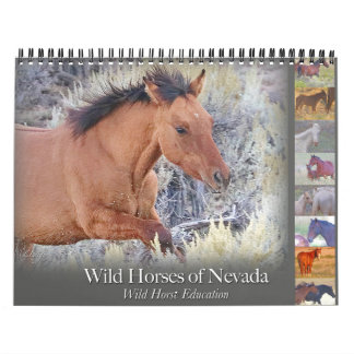 Wilde Pferde, Kalender