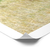 Wilde Pferde kämpfen Theodore Roosevelt NP Poster (Ecke)