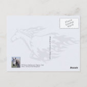 Wilde Pferde kämpfen, Utah Postkarte (Rückseite)