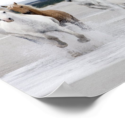 Wilde Pferde laufen am Strand Poster (Ecke)