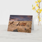 Wilde Pferde laufen Karte (Gelbe Blume)