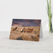 Wilde Pferde laufen Karte (Vorderseite)