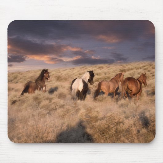 Wilde Pferde laufen Mousepad (Vorne)