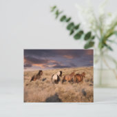 Wilde Pferde laufen Postkarte (Stehend Vorderseite)