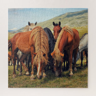 Wilde Pferde Livno Naturlandschaft Puzzle
