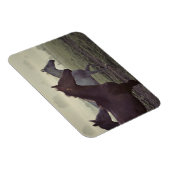 Wilde Pferde Magnet (Rechte Seite)