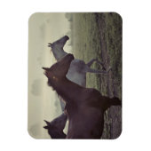 Wilde Pferde Magnet (Vertikal)
