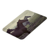 Wilde Pferde Magnet (Linke Seite)