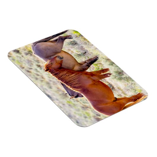 Wilde Pferde Magnet (Rechte Seite)