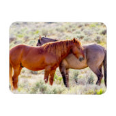 Wilde Pferde Magnet (Horizontal)