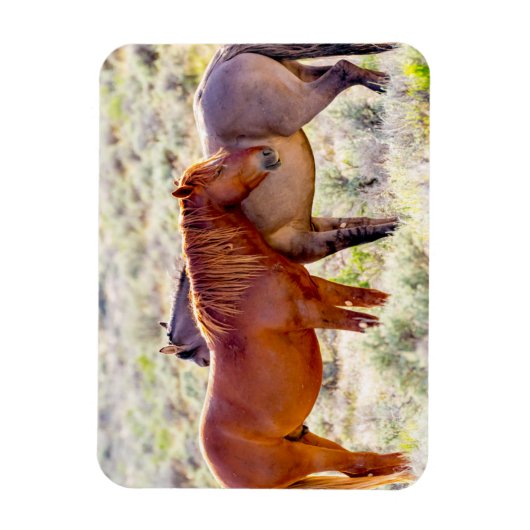 Wilde Pferde Magnet (Vertikal)