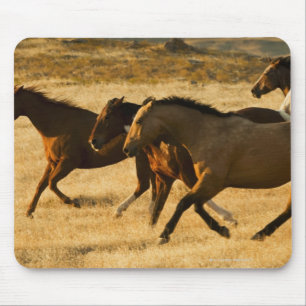 Wilde Pferde Mousepad