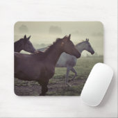 Wilde Pferde Mousepad (Mit Mouse)