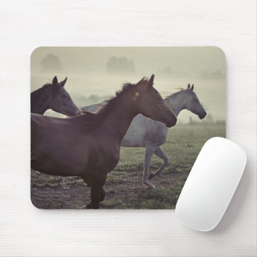 Wilde Pferde Mousepad (Mit Mouse)
