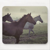 Wilde Pferde Mousepad (Vorne)
