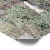 Wilde Pferde nach einem Staubbad Poster (Ecke)