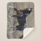 Wilde Pferde nach einem Staubbad Sherpadecke (Vorderseite)