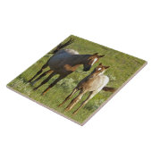 Wilde Pferde North Dakota Fliese (Seite)