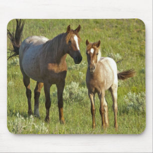 Wilde Pferde North Dakota Mousepad