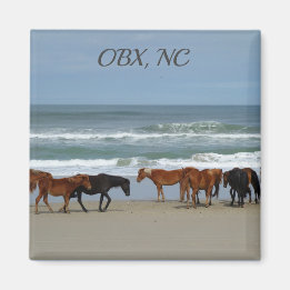 Wilde Pferde OBX NC Magnet