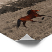 Wilde Pferde Poster (Ecke)