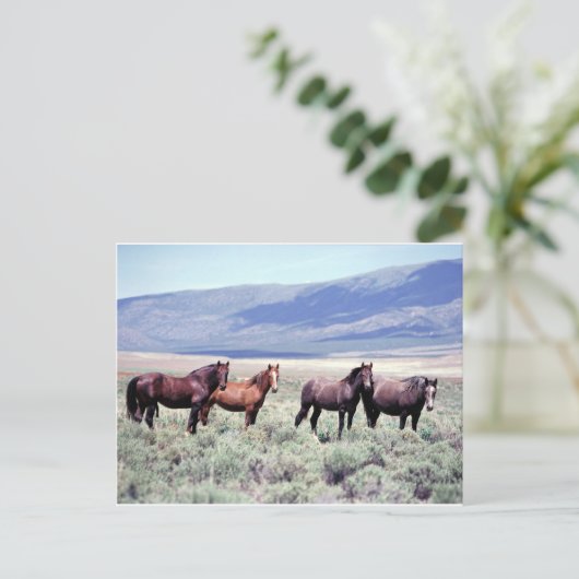 Wilde Pferde Postkarte (Stehend Vorderseite)