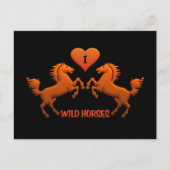 Wilde Pferde Postkarte (Vorderseite)