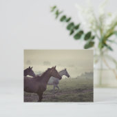 Wilde Pferde Postkarte (Stehend Vorderseite)