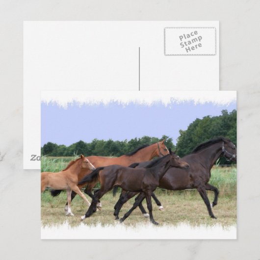 Wilde Pferde Postkarte (Vorne/Hinten)