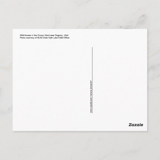 Wilde Pferde Postkarte (Rückseite)