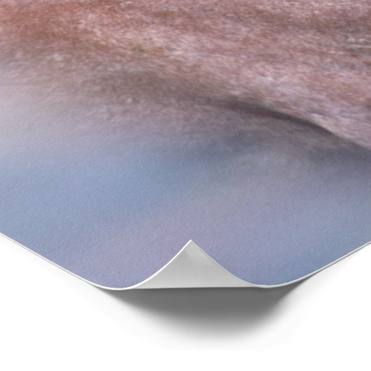 Wilde Pferde Print Poster (Ecke)