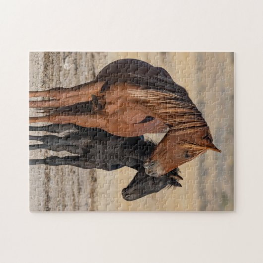 Wilde Pferde Puzzle (Horizontal)