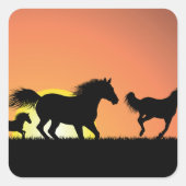 Wilde Pferde Quadratischer Aufkleber (Vorderseite)