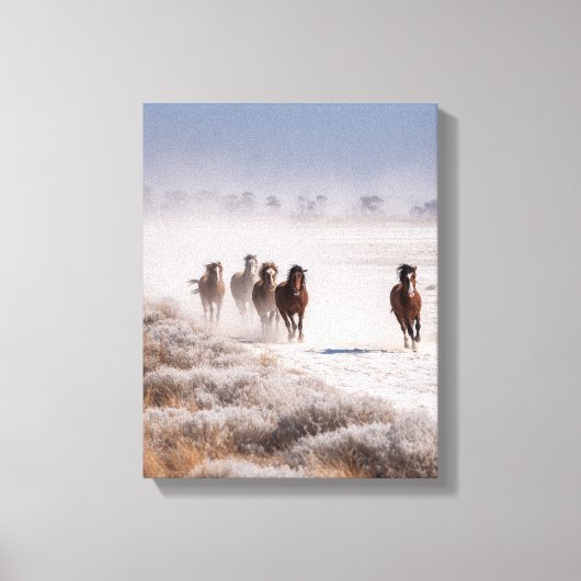 Wilde Pferde Schneeebene Winterkunst Leinwanddruck (Vorderseite)