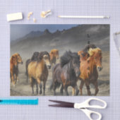 Wilde Pferde Seidenpapier (Handwerk)