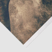 Wilde Pferde Seidenpapier (Ausschnitt)